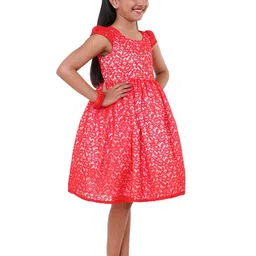 Wish little Net A-Line Dress image 3