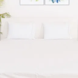 Oyvu White Cotton Elasticated 300TC King Fine Bedsheet with 2 Pillow Covers 78 x 72 Inch-picture-31