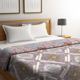 Klotthe Grey & Beige Feather 500 TC AC Comforter - Set of 1-picture-38