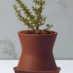 LASAKI Brown Ceramic Planter With Plate image 4