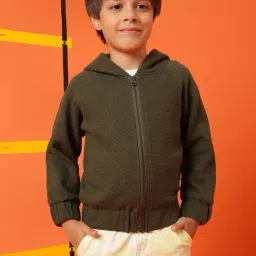 Tales & Stories Kids Olive Regular Fit Full Sleeves Sweatshirt-picture-11