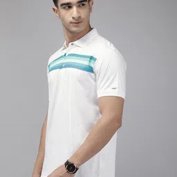 Park Avenue Pure Cotton Striped Polo Collar Slim Fit T-shirt image 5
