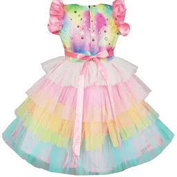 My Lil Princess Embellished Net A-Line Dress image 3