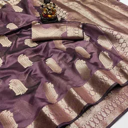Divyadham Textiles Woven Design Zari Organza Designer Banarasi Saree image 4