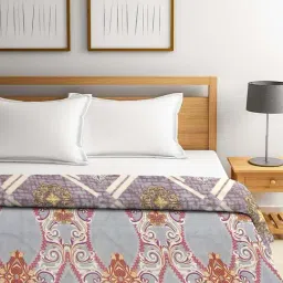 Klotthe Grey & Beige Feather 500 TC AC Comforter - Set of 1 image 2