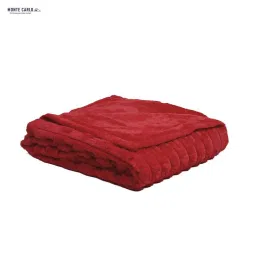 Monte Carlo Red Polyester 850 GSM Winter Blanket image 5