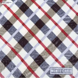 Monte Carlo Multicolor Polyester 553 GSM Winter Blanket image 5