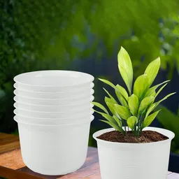 Kuber Industries 8Pcs White Textured Planters With Plate image 1