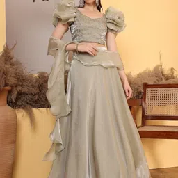 Ethnovog Embroidered Ready to Wear Lehenga & Blouse With Dupatta image 1