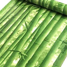 SEKHMET Green Printed Self Adhesive Wallpaper-image-24