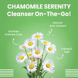 bark out loud Dog Waterless Shampoo (1 N x 100ml) Anti-itching Fresh Dog Shampoo image 4