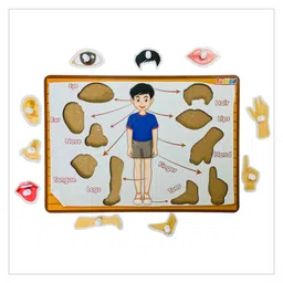 TodFod Wooden Vegetable  & Body parts Puzzle 2 Pieces - Multicolour image 5