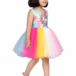 Aarika Floral Print Net Fit & Flare Dress image 2