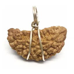 RAVIOUR LIFESTYLE Contemporary Pendants-picture-17