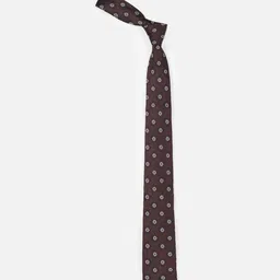 Peter England Men Printed Broad Tie image 3