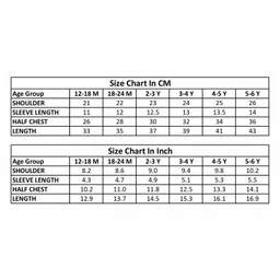 Mi Arcus Half Sleeves Schiffli & Chevron Embroidered Polo Tee - Multi Colour image 2