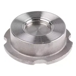 RS PRO Stainless Steel Single Non Return Valve 25mm Model No 7209298 image 3