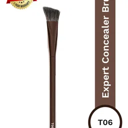 PAC T06 Expert Concealer Brush - Brown-picture-37