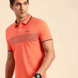 Being Human Pure Cotton Striped Polo Collar T-shirt-image-33
