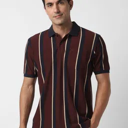 Peter England Striped Polo Collar Cotton Regular Fit Casual T-shirt-picture-13