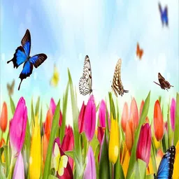 BELLA TRUE Blue & Green 2 Pieces Floral Window Curtains image 3