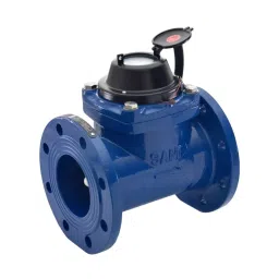 SANT 6 inch (150 mm) Cast Iron Water Meter, WM 11-picture-38