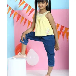 BIBA Floral Embroidered Sleeveless A Line Top - Yellow-picture-21