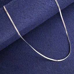 RV Jewels Unisex Silver-Plated Chain image 1