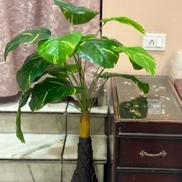 apka mart Green Non-Hanging Artificial Plant Without Pot-picture-16