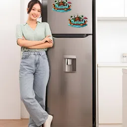 GIFTODAY Set Of 2 Blue & Green Thailand Printed Fridge Magnets image 3