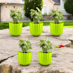 GARDEN'S NEED Sofia Green 5 Pieces Textured Planters image 2