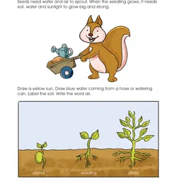 om books international Smart Scholars Grade 2 Science Funfilled Activities Book - English image 4