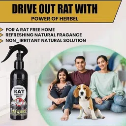 jay brahmani online Rat Repellent Spray for Car & Bike 200 ml Pack of 2 | Powerful & Safe Use Live Trap image 5