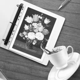 Solo F/C Silver 70 Micron Sheet Protector, SP112 image 5