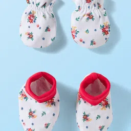 Babyhug 100% Cotton Knit Mittens & Booties Set with Floral Print - White-picture-15