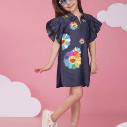HOITY MOPPET Girls Graphic Printed Flutter Sleeve Denim A-Line Dress-image-78