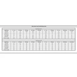 MASTARANG Blended Woven Half Puffed Sleeves Abstract Embroidered & Lace Embellished Choli Tiered Lehenga With Dupatta Set - Wine image 2