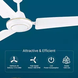 RR Signature RAPID PRO Ceiling Fan Chest White 1200 mm Sweep 370 RPM image 3