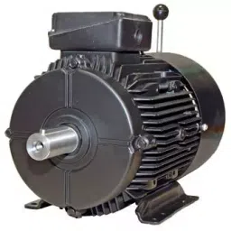 CG Power Three Phase 1 HP 4 Pole Foot Mouted IE2 Aluminium Body Brake Motor-image-63