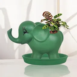 LASAKI Jumbo Green & Black Elephant Shaped Ceramic Planter With Plate-picture-17