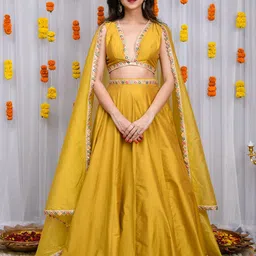 Label Shaurya Sanadhya Sequinned Ready to Wear Lehenga & Blouse With Dupatta-picture-13
