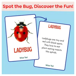WiseTed Bugs and Insects Flash cards - 30 cards image 4
