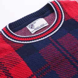 Smarty Boys 100% Premium Cotton Full Sleeves Pullover Checkered- Blue image 3