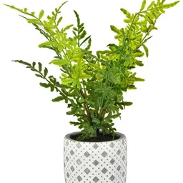 Myntra Elegant Homes Grey & Green Fern Artificial Plant With Patterned Pot image 4
