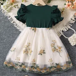 TIOR Floral Embroidered Fit & Flare Dress image 2