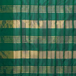 IndianRang Checked Printed Saree image 3