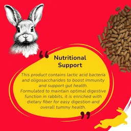 Petslife Premium Rabbit Food 1kg - Fruits & Honey Fruit 1 kg Dry All Life Stages Rabbit Food image 5