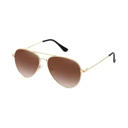 LIZA ANGEL Unisex Brown Lens & Gold-Toned Aviator Sunglasses with image 2