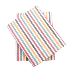 Tharunsha Elite Red & Blue 2 Pieces Striped Pure Cotton AC Room Blanket-picture-14