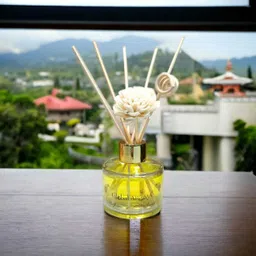 global aroma Angel Reed Diffuser Set Fragrance for Office, Home, Gym and Yoga Diffuser Set image 2
